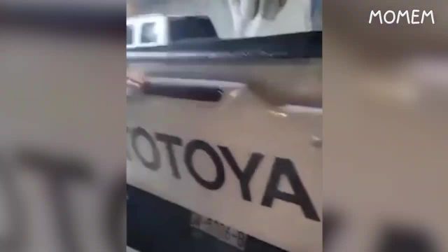 try not to laugh, impossible memes